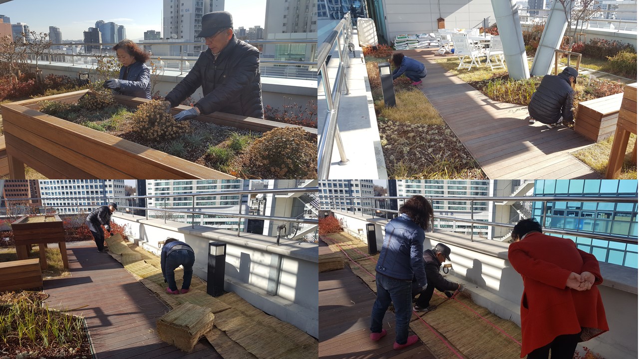 소담(텃밭문화공연동아리) 텃밭 겨울나기 준비